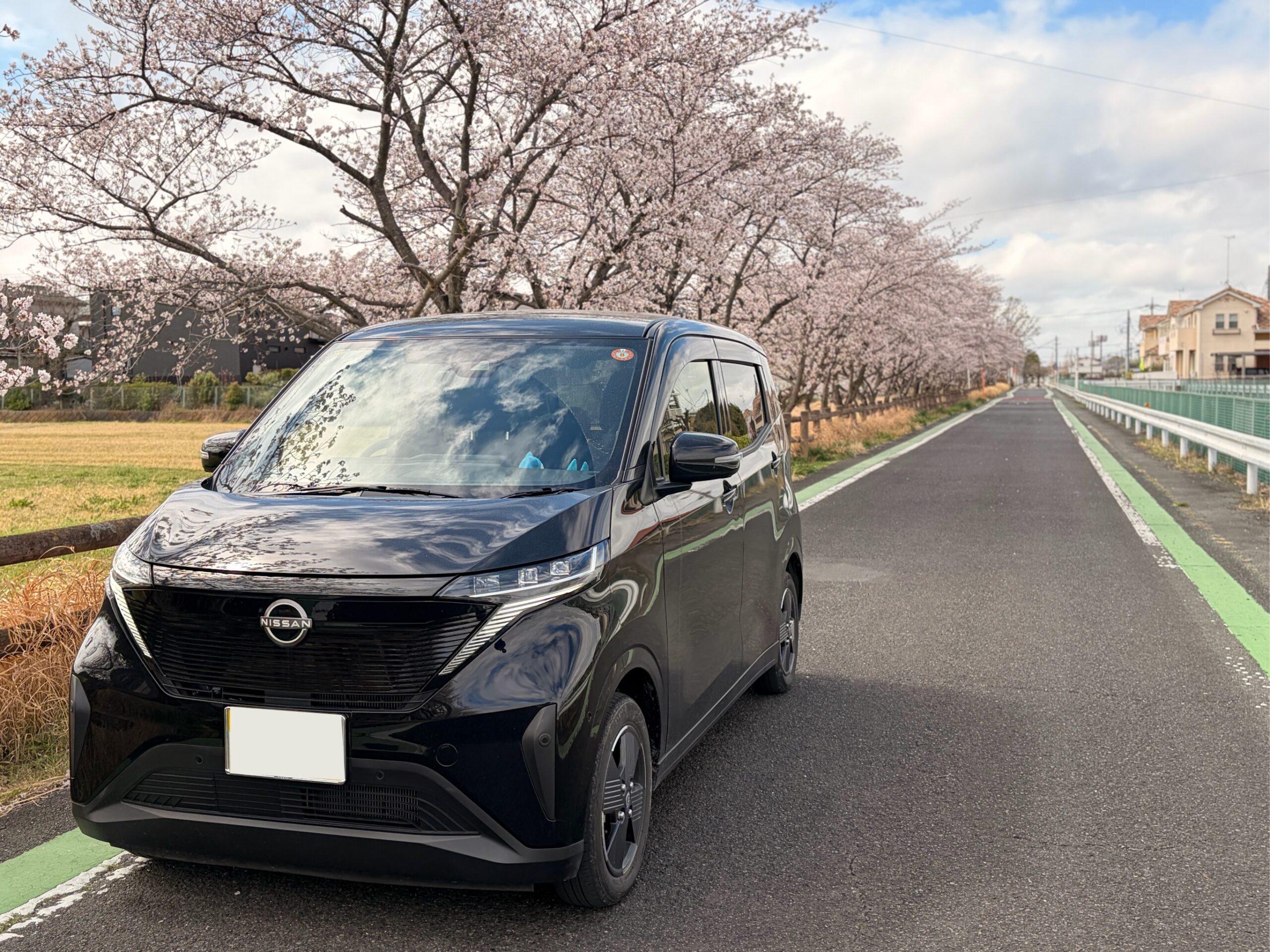 日産サクラと桜並木