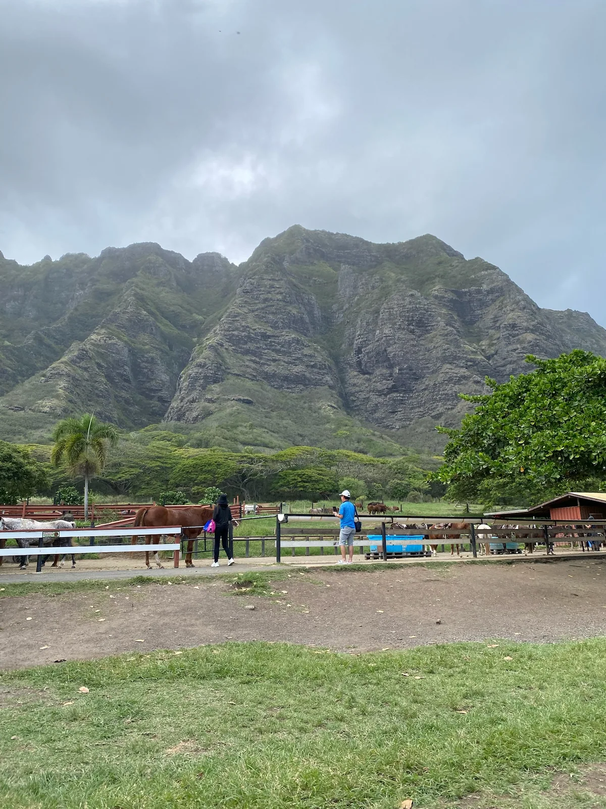 クアロアランチの背後にそびえるコオラウ山脈