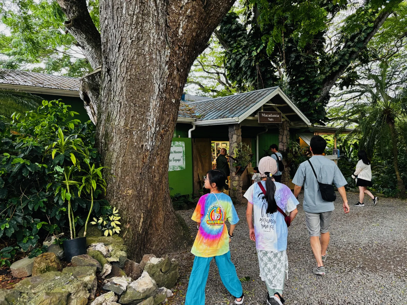 トロピカルファームの小屋へ向かう道