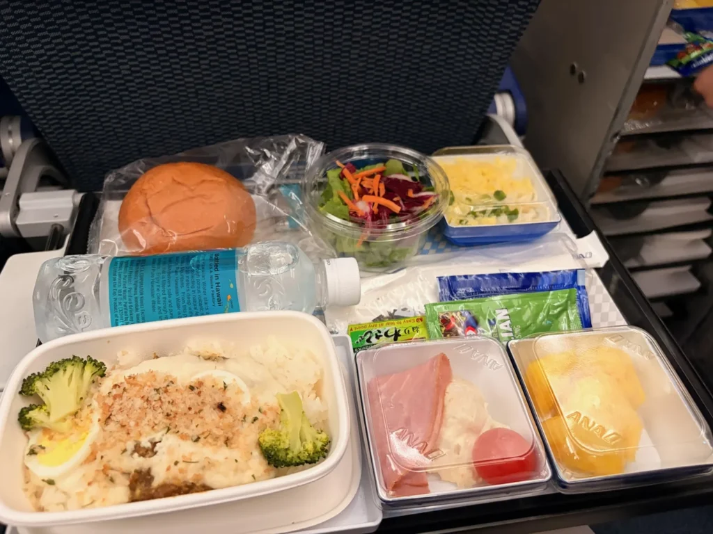 ANA国際線エコノミーの機内食（グラタン風のごはんとサラダ）