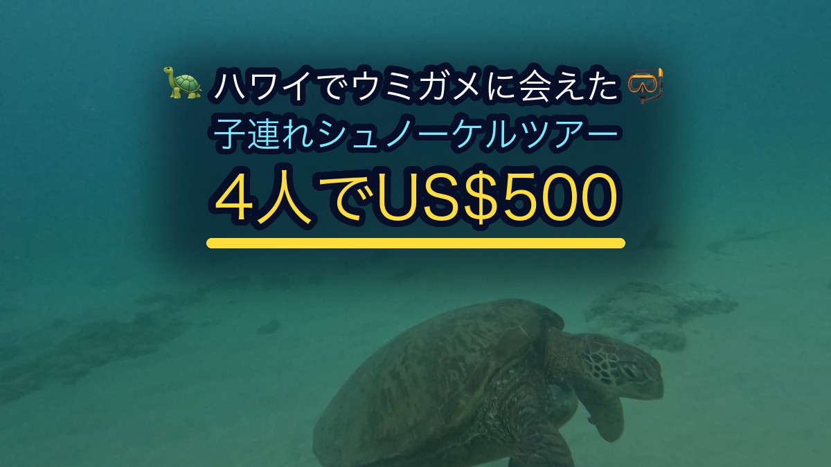 ハワイでウミガメに会えたシュノーケルツアー｜子連れで申し込んだブリーズハワイ午後便の実際（料金・集合・持ち物）